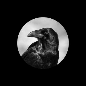 毛a粉嫩美丽少女加炮后入视频
