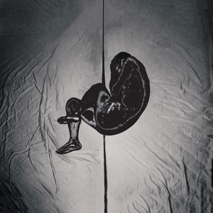 毛a粉嫩美丽少女加炮后入视频
